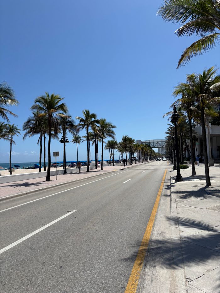 A scenic view of a sunny beachfront road lined with palm trees and a clear blue sky.