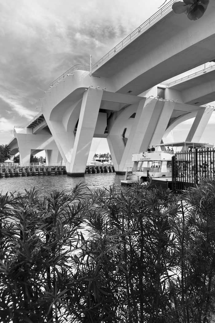 contact-img A striking black and white photo of a modern bridge over water, framed by lush greenery.