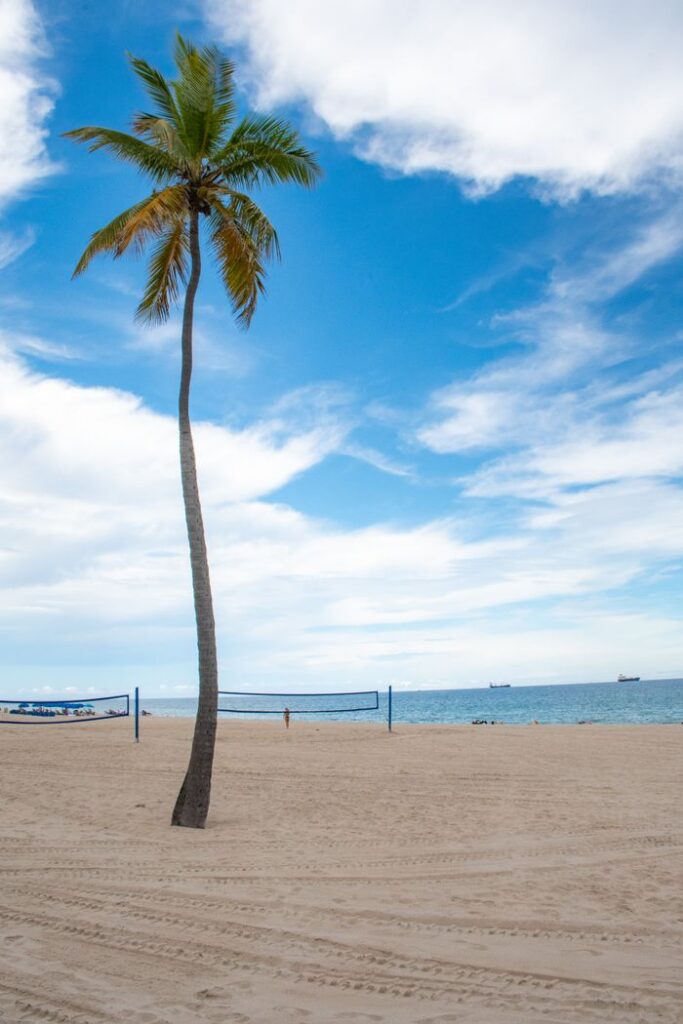 pexels photo 9680441 Peaceful beach view with coconut palm, blue sky, and ocean horizon.